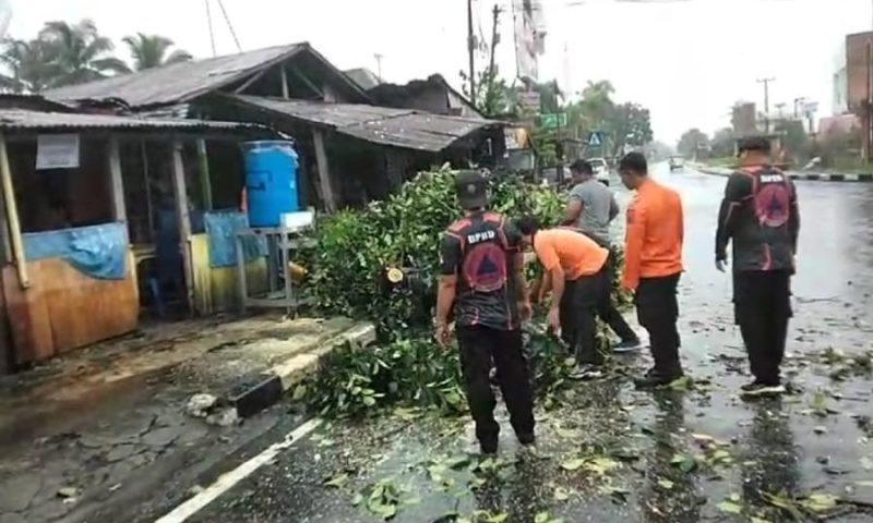 (foto: ist/media center kota pariaman)