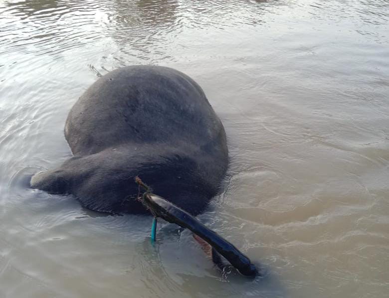 (foto: ist/mediacenter riau)